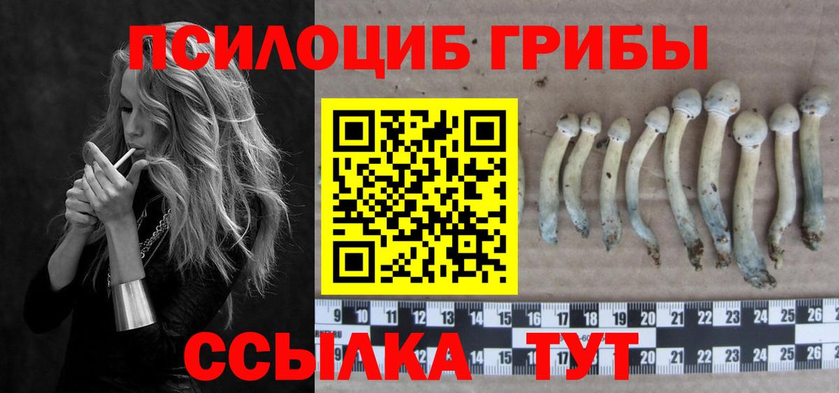 Псилоцибиновые грибы GOLDEN TEACHER  Вход с VPN  Торжок 